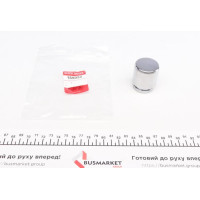 185052 QUICK BRAKE Поршень супорта (заднього) Mitsubishi Outlander/Lancer 03-/Nissan Leaf 10- (38x45mm)