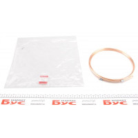 CU3000AA QUICK BRAKE Трубка гальмівна 3.00m
