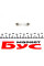 R274 RING Автолампа 24V 10W S8.5d 11x41 Festoon