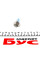 R348 RING Автолампа H1 12V 55W P14.5s Ice Blue (1шт)