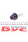 R42402 RING Автолампа D4S 42V 35W P32d-5 Xenon HID (4100K/3200 lumen)