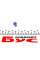 R509TBL RING Автолампа 12V 1.2W BX8.5d Blue (у щиток приладів)