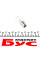 RTM241HDLL RING Автолампа P21W 24V 21W BA15s (SCC) Truckmaster Heavy Duty/Long Life (1шт.)