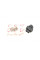 254210001R ROTWEISS Кнопка склопідйомника Dacia Dokker/Logan/Renault Kangoo 08-