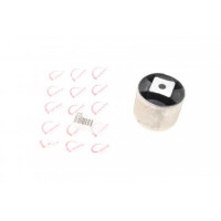 RW24002 ROTWEISS Подушка КПП MB Vito (W638) CDI 99-03