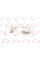 RWS2308 ROTWEISS Кришка дзеркала (R) VW Crafter/MB Sprinter (W906) 06-