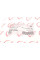 RWS2352 ROTWEISS Кронштейн кріплення фари Renault Megane/Scenic 03-08 (L)
