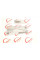 RWS2436 ROTWEISS Патрубок интеркулера BMW 3 (E90) 05-11 M57