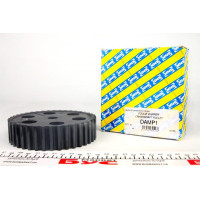 DAMP1 SNR Шестерня распредвала Renault Kangoo/Master 1.9dTi