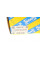 KB65230 SNR Подушка амортизатора (переднього) + підшипник Ford Mondeo/Volvo XC 70 II 2.4D 09-