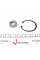 R15958 SNR Підшипник маточини (передньої) Peugeot 1007 07- (37x72x33) (+ABS)(к-кт)