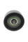 110038 SOLGY Ролик генератора Fiat Panda/Punto/500 0.9 11- (паразитний) (65x23)