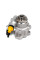 207002 SOLGY Насос ГУР VW LT/T4/Crafter 2.5TDI/ T5 1.9TI (-AC)