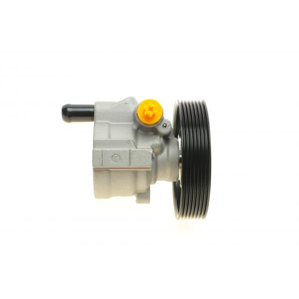 207071 SOLGY Насос ГУР Renault Laguna 1.8 16V 01-07 (7PK)