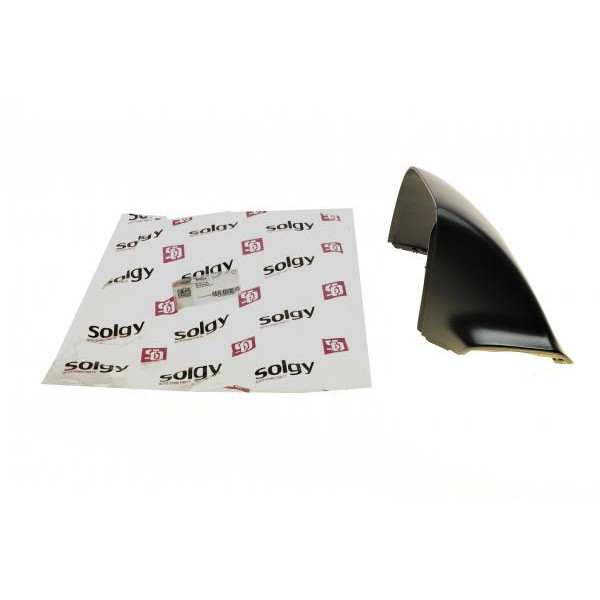302034 SOLGY Кришка дзеркала (L) VW T6 15-