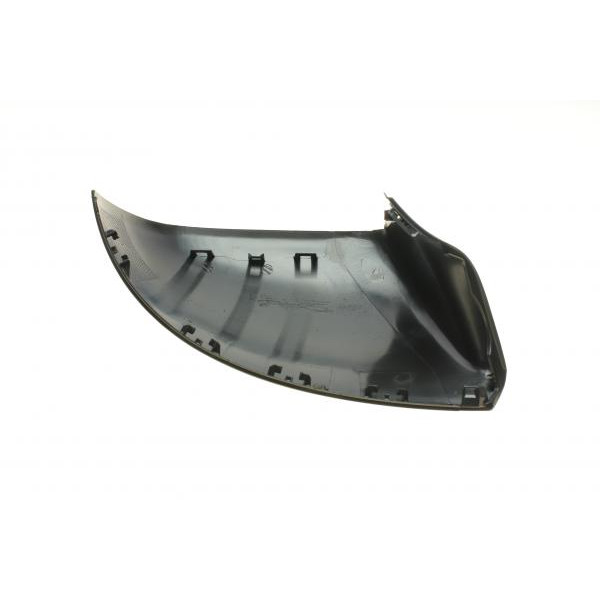 302034 SOLGY Кришка дзеркала (L) VW T6 15-