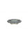 2587801 TEXTAR Колодки гальмівні (задні) Mazda 3 13- (101.5x44.5x13.8)