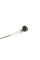 45019900 TEXTAR Датчик ABS (передній) BMW 1 (F20/F21)/3 (F22/F84)/4 (F32/F82) 12- (L=819mm)