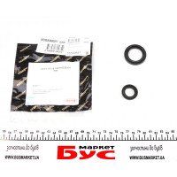 15599881 TRANSTEC Ремкомплект рейки рульової Renault Clio/Kangoo 98-