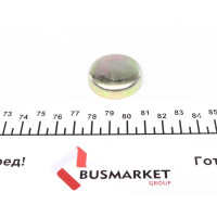 0267043 TRUCKTEC AUTOMOTIVE Заглушка блоку циліндрів DB/MB (d=34mm)