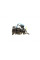 251803 VALEO Шлейф подушки безпеки AirBag Dacia Dokker/Duster/Lodgy/Logan/Sandero 10-