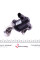 710571D WAHLER Клапан EGR VW Caddy/T5 1.9TDI 75kw 03- (всередині OE VAG)