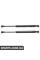 Розпірка кришки багажника Bapmic ATPP12KIT142 (аналог 51247016186)