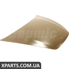 ATPP1311134001 Bapmic Капюшон