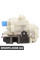 Rear Door Lock Actuator