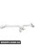 Rear Window Regulator