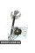 Rear Window Regulator