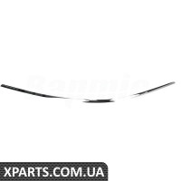 ATPP1118123007 Bapmic Молдинг переднього бампера