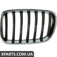 ATPP1212118049 Bapmic Передні ґрати