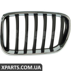 ATPP1212118049 Bapmic Передні ґрати