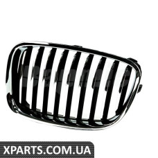 ATPP1212118051 Bapmic Передні грати