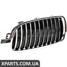 ATPP1212118053 Bapmic Передні грати