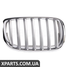 ATPP1212140008 Bapmic Передні ґрати