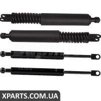 Trunk Lid Strut Kit