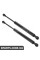 Розпірка кришки багажника Bapmic ATPP12KIT142 (аналог 51247016186)