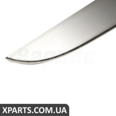 Trunk Lid molding