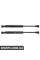 ATPP18KIT005 Bapmic Стійка підйому капота