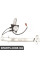Rear Window Regulator