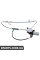Rear Window Regulator