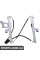Rear Window Regulator