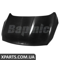 ATPP5211130002 Bapmic Капюшон