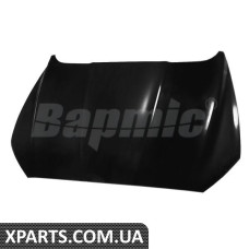 ATPP5211130003 Bapmic Капюшон