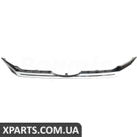 Front Grille Trim molding