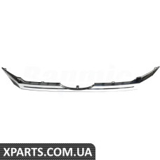 Front Grille Trim molding