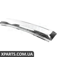Front Grille Trim molding