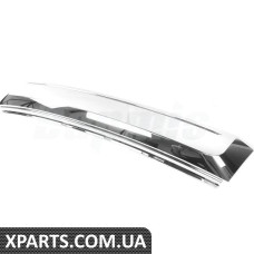 Front Grille Trim molding
